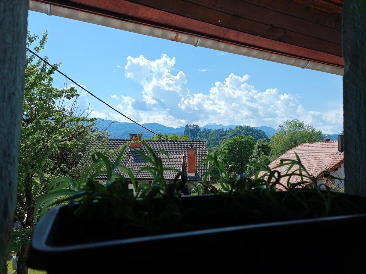 Auberge de jeunesse Pr Mocnk à Bled Extérieur photo